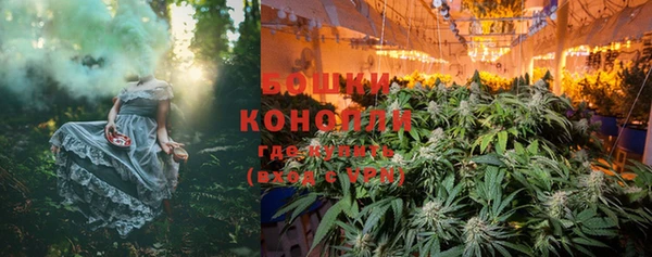 крисы Елизово