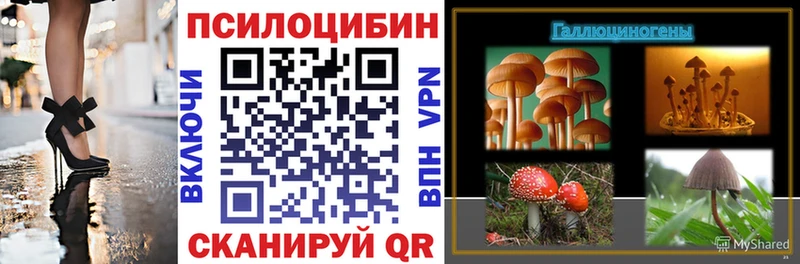Купить  Змеиногорск  Псилоцибиновые грибы MAGIC MUSHROOMS 